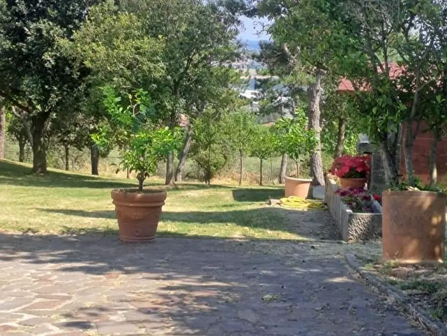 Immagine 21 di Azienda agricola in vendita  a Piancastagnaio
