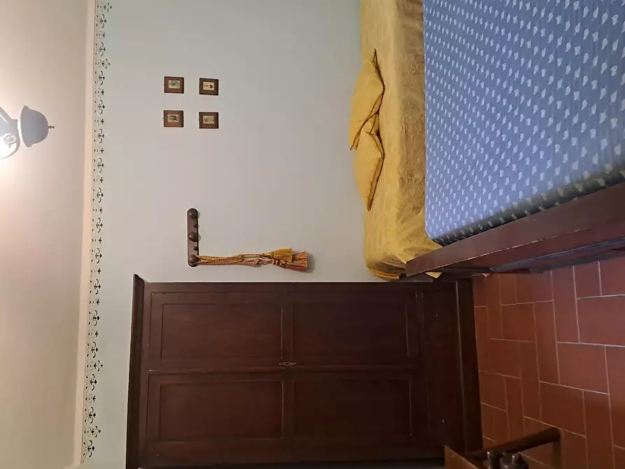 Immagine 7 di Azienda agricola in vendita  a Piancastagnaio