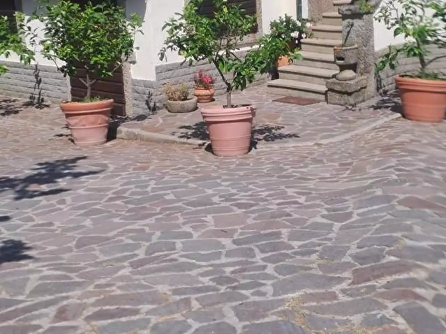 Immagine 23 di Azienda agricola in vendita  a Piancastagnaio