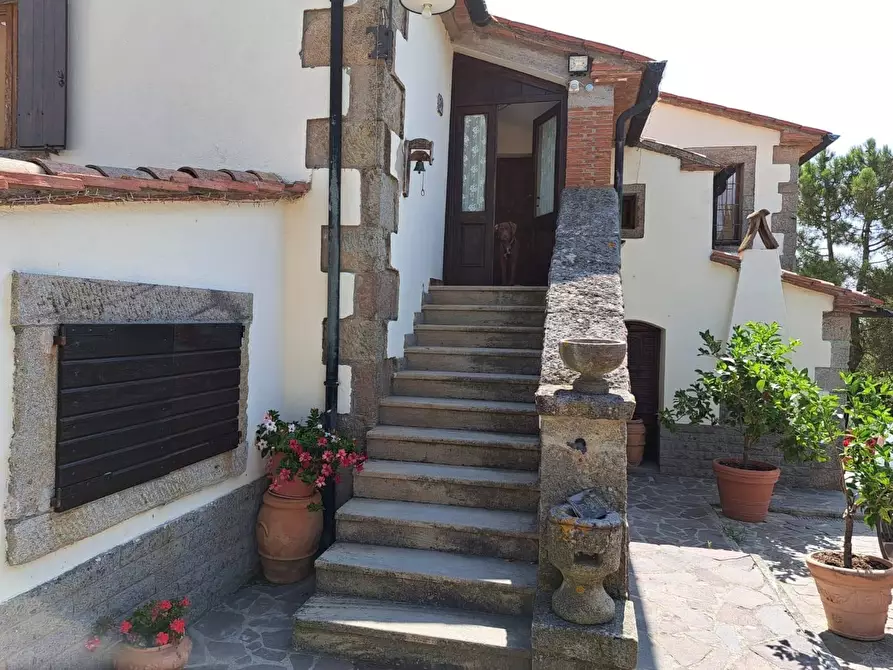 Immagine 1 di Azienda agricola in vendita  a Piancastagnaio