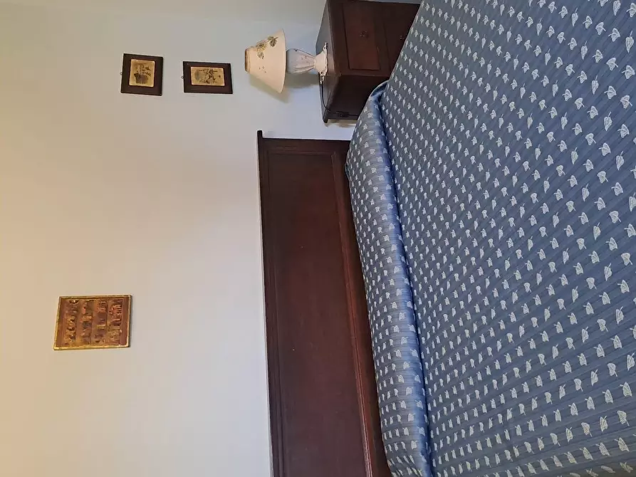 Immagine 5 di Azienda agricola in vendita  a Piancastagnaio