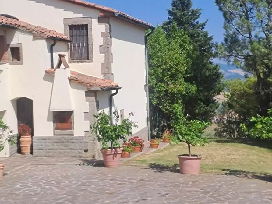 Immagine 22 di Azienda agricola in vendita  a Piancastagnaio