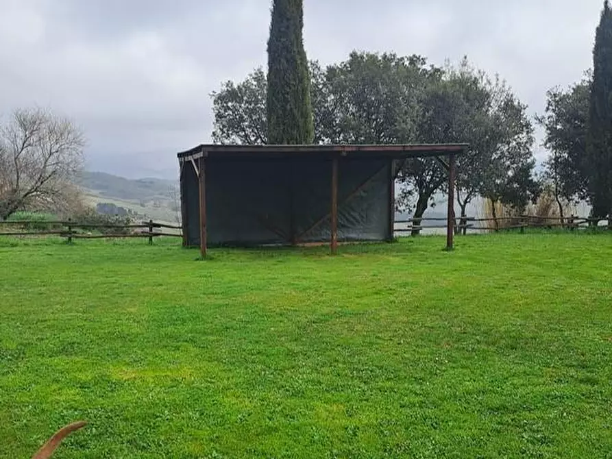 Immagine 6 di Azienda agricola in vendita  a Piancastagnaio