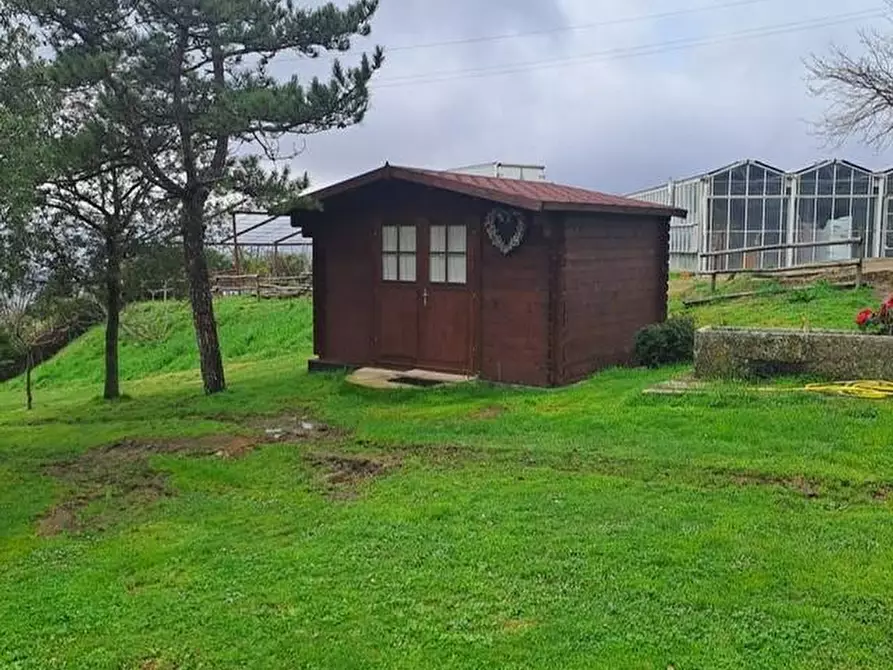 Immagine 4 di Azienda agricola in vendita  a Piancastagnaio