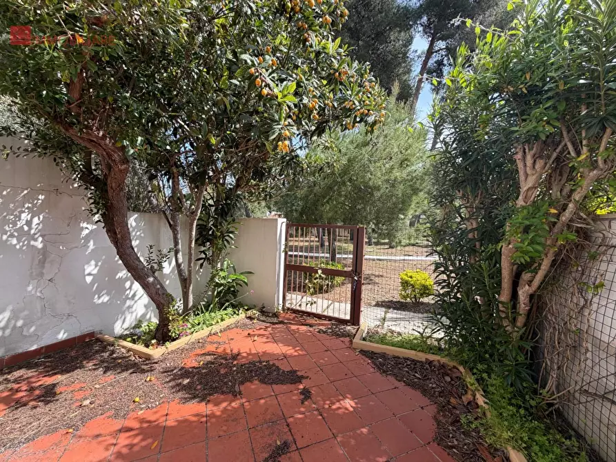 Immagine 5 di Villetta a schiera in vendita  a Melendugno