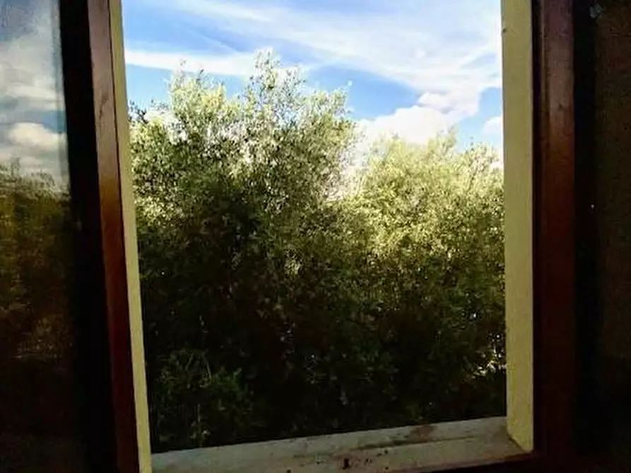 Immagine 31 di Terratetto in vendita  a Buggiano