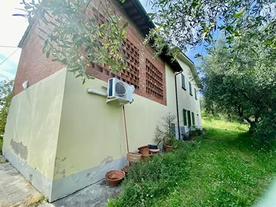 Immagine 4 di Terratetto in vendita  a Buggiano