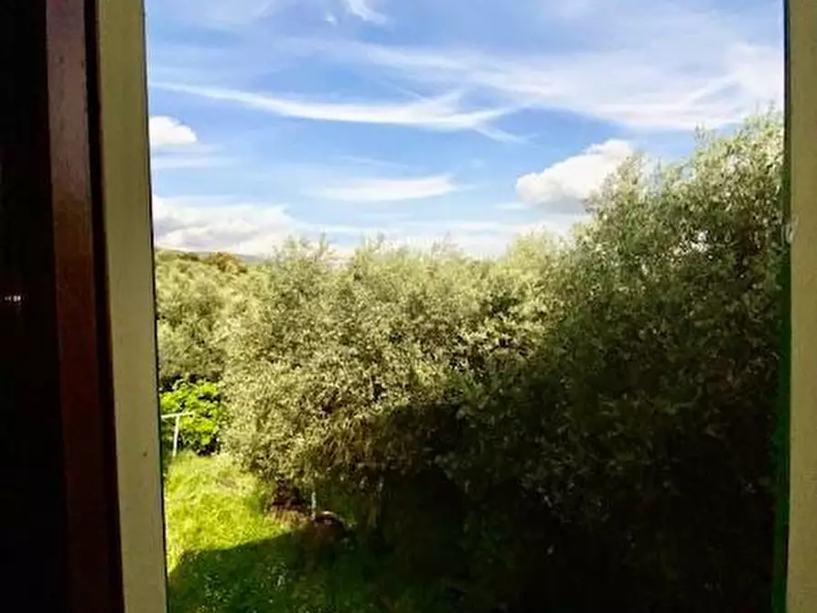 Immagine 38 di Terratetto in vendita  a Buggiano