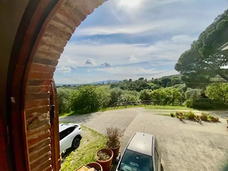 Immagine 6 di Terratetto in vendita  a Buggiano