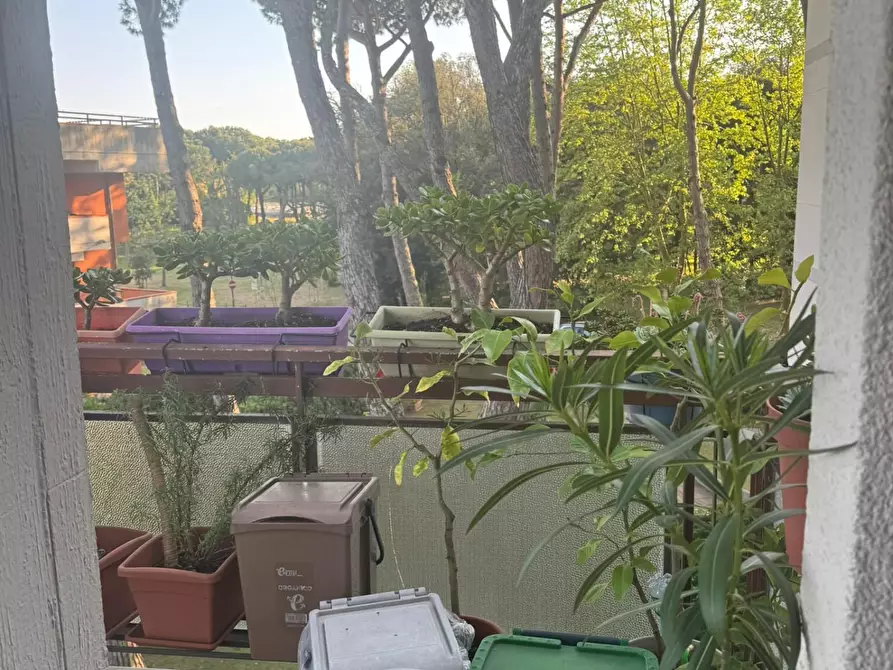 Immagine 31 di Appartamento in vendita  a Pietrasanta