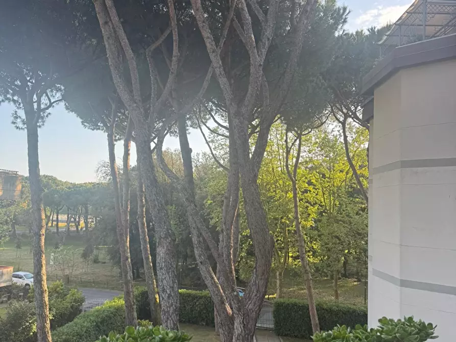 Immagine 3 di Appartamento in vendita  a Pietrasanta