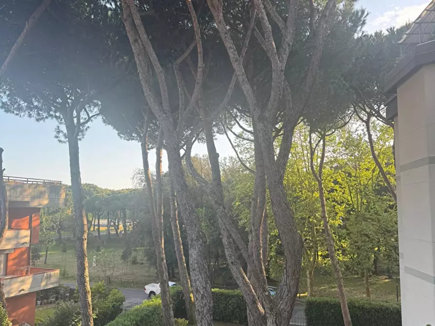Immagine 33 di Appartamento in vendita  a Pietrasanta