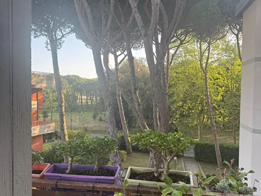 Immagine 2 di Appartamento in vendita  a Pietrasanta