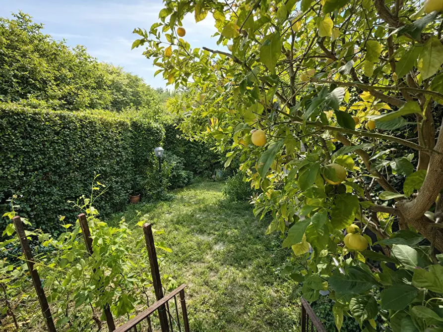 Immagine 1 di Villetta a schiera in vendita  a Calci