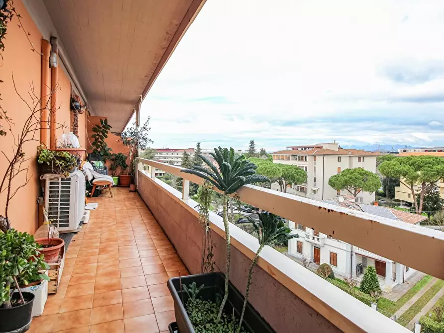 Immagine 22 di Appartamento in vendita  a Pisa