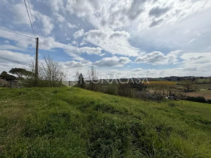 Immagine 43 di Appartamento in vendita  a Montopoli In Val D'arno