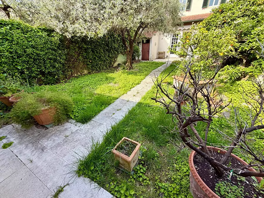 Immagine 28 di Terratetto in vendita  a Empoli