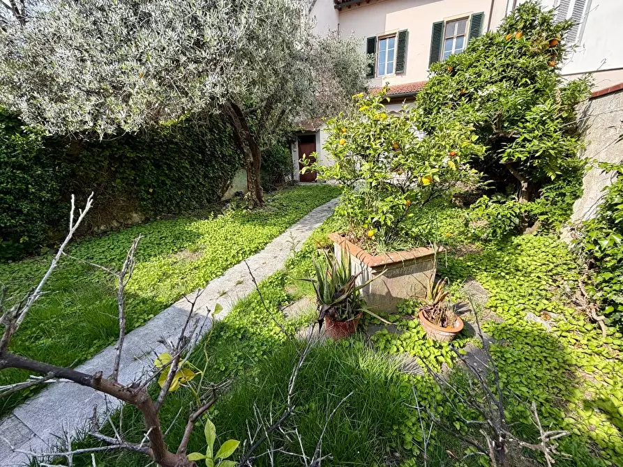 Immagine 30 di Terratetto in vendita  a Empoli