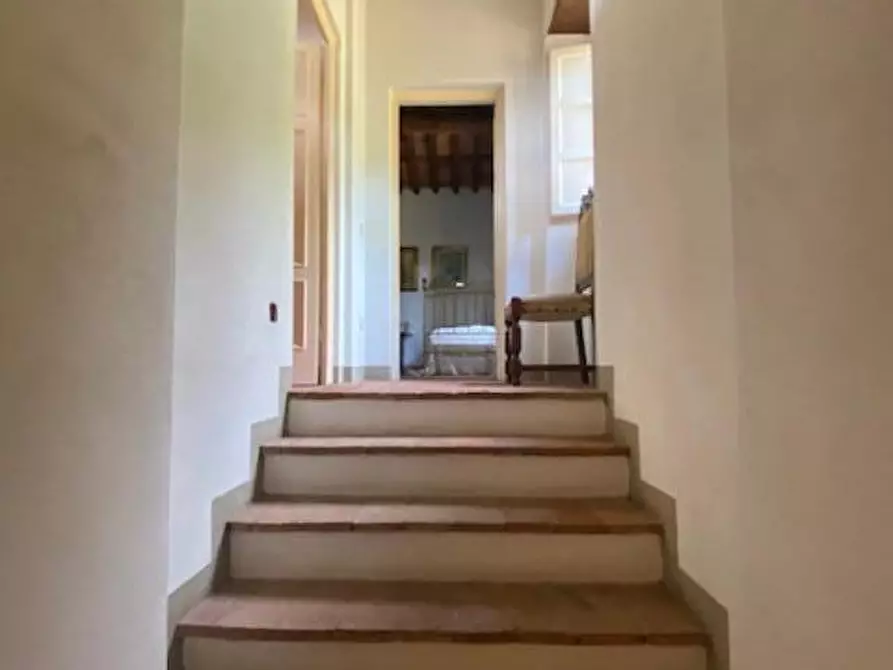Immagine 19 di Rustico / casale in vendita  a Lucca