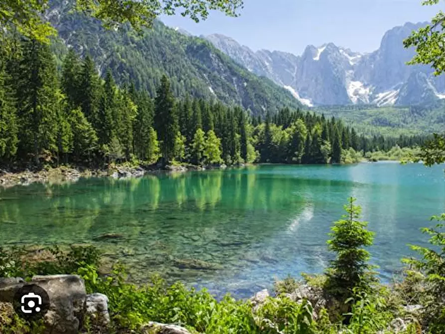 Immagine 7 di Baita in vendita  a Arta Terme