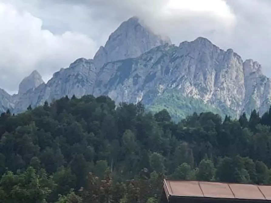 Immagine 3 di Baita in vendita  a Arta Terme