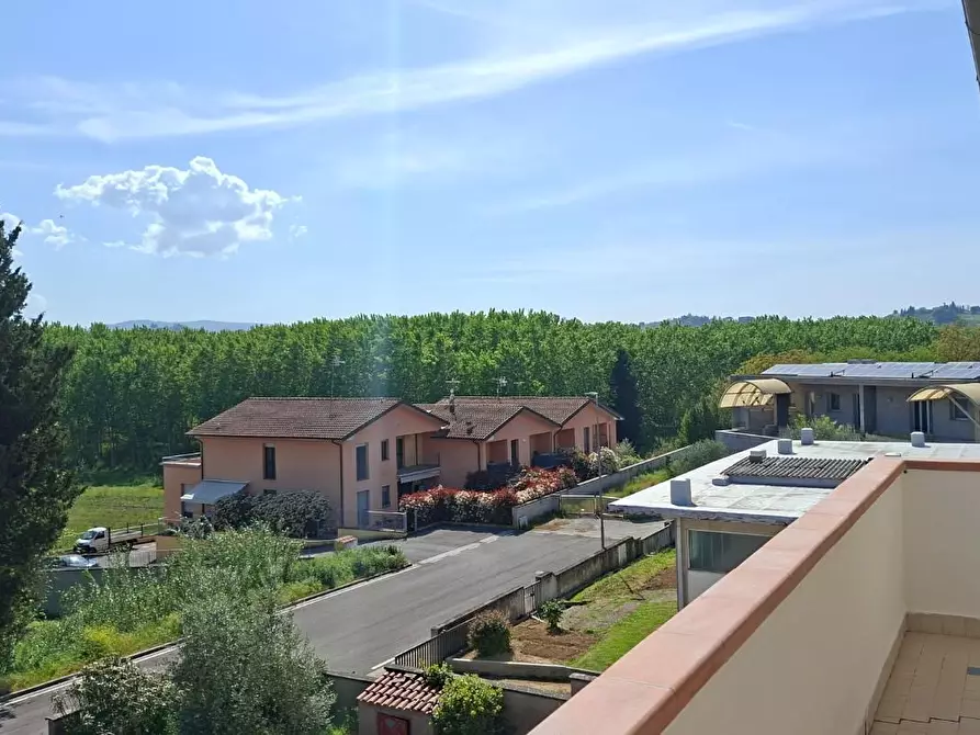 Immagine 24 di Appartamento in vendita  a Peccioli
