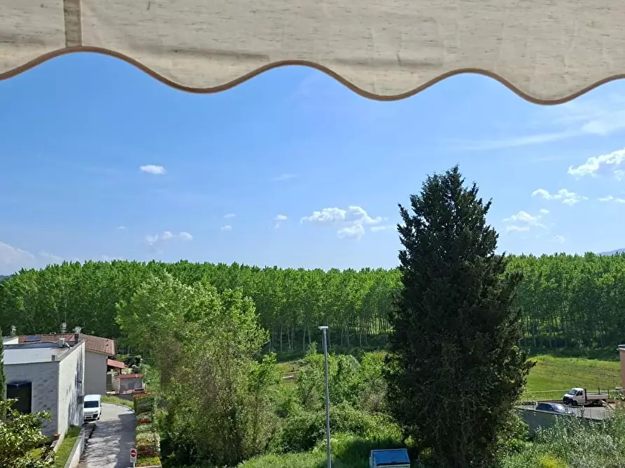 Immagine 3 di Appartamento in vendita  a Peccioli