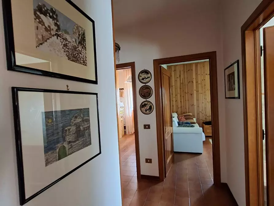 Immagine 15 di Appartamento in vendita  a Peccioli