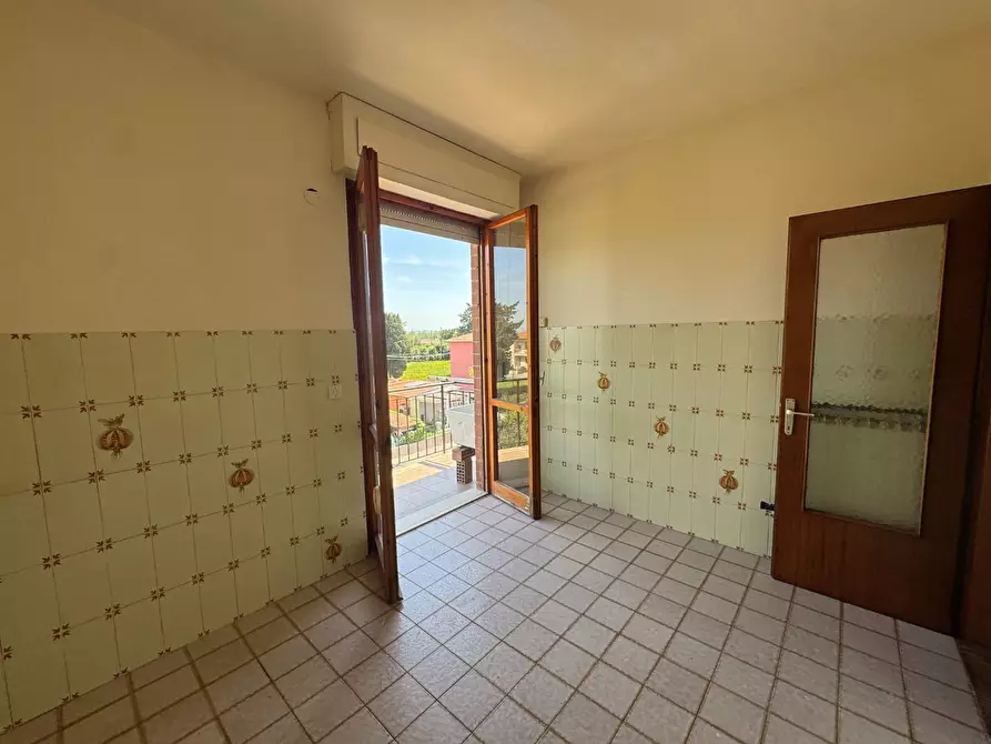 Immagine 5 di Appartamento in vendita  a Collesalvetti