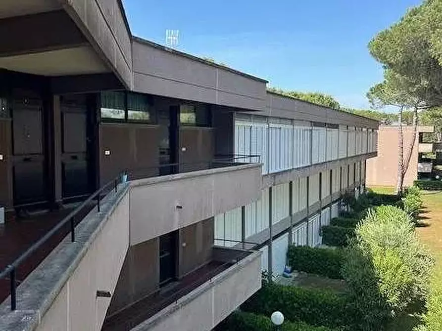 Immagine 11 di Appartamento in vendita  a Bibbona