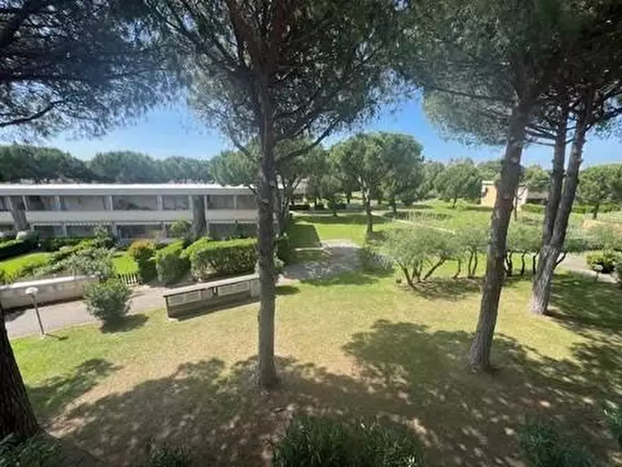 Immagine 12 di Appartamento in vendita  a Bibbona