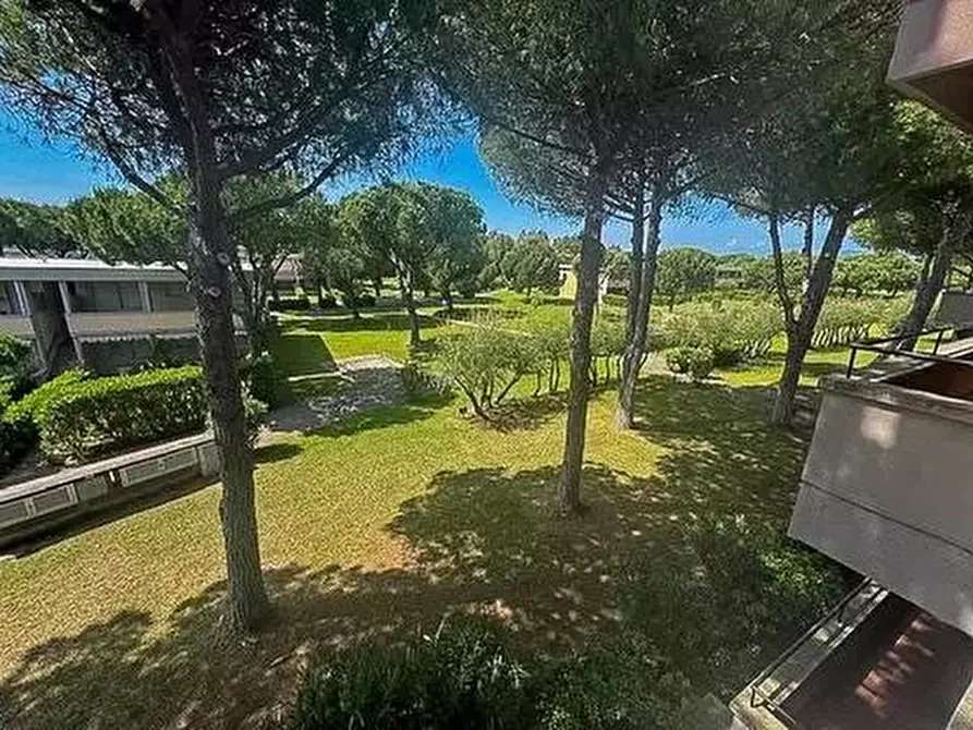 Immagine 4 di Appartamento in vendita  a Bibbona