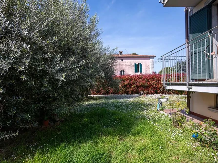 Immagine 5 di Villa in vendita  a Collesalvetti