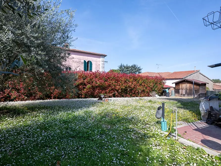 Immagine 6 di Villa in vendita  a Collesalvetti