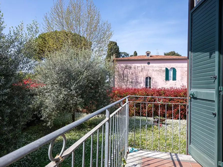 Immagine 15 di Villa in vendita  a Collesalvetti