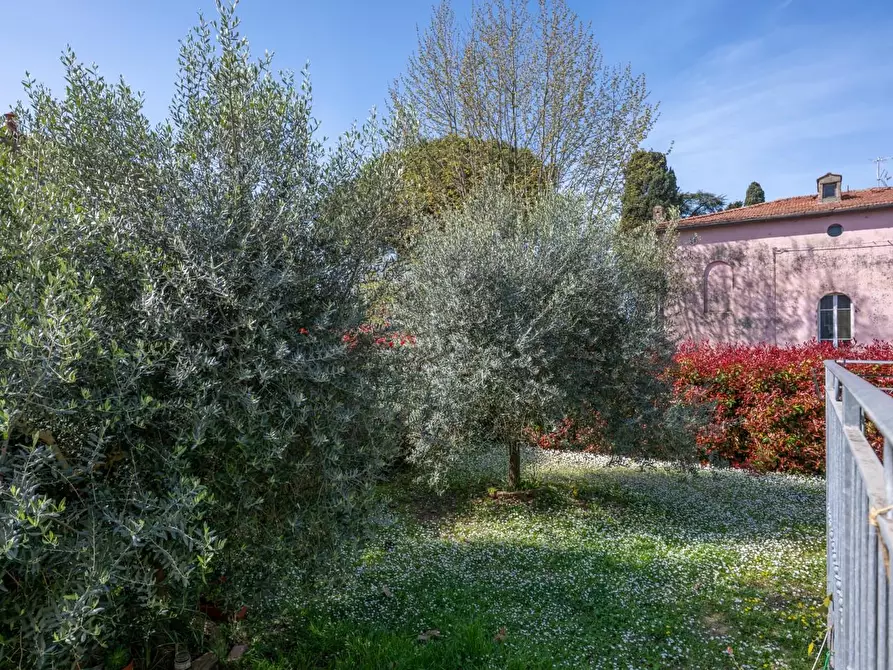 Immagine 16 di Villa in vendita  a Collesalvetti