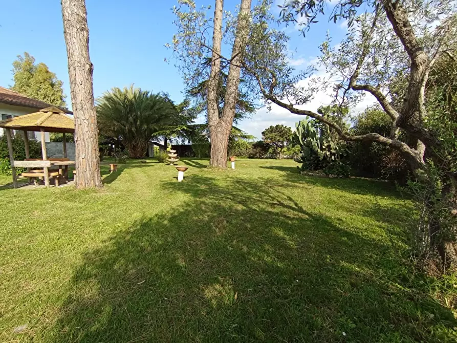 Immagine 21 di Villa in vendita  a Pisa