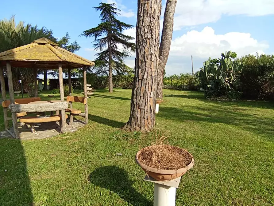 Immagine 72 di Villa in vendita  a Pisa