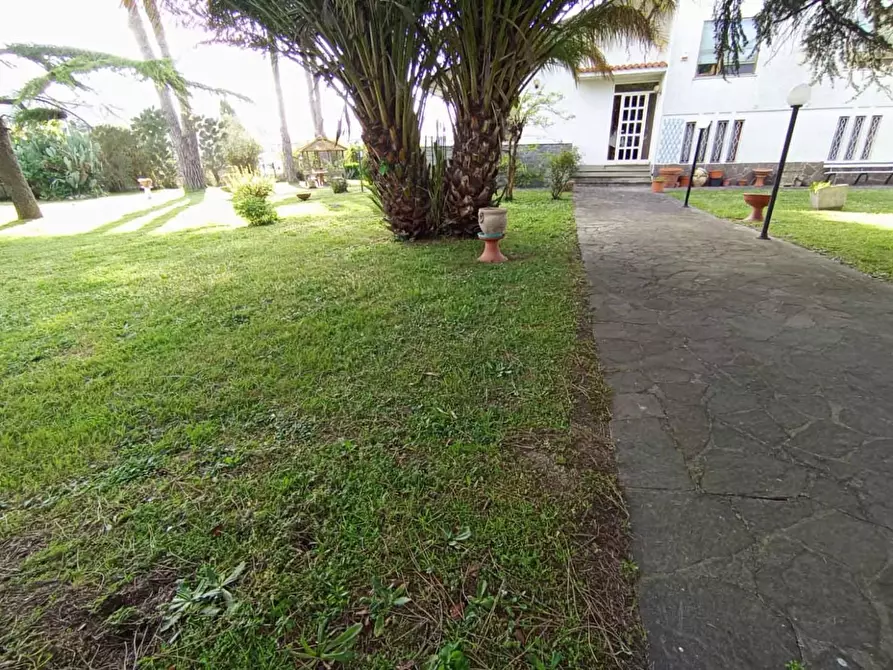 Immagine 18 di Villa in vendita  a Pisa