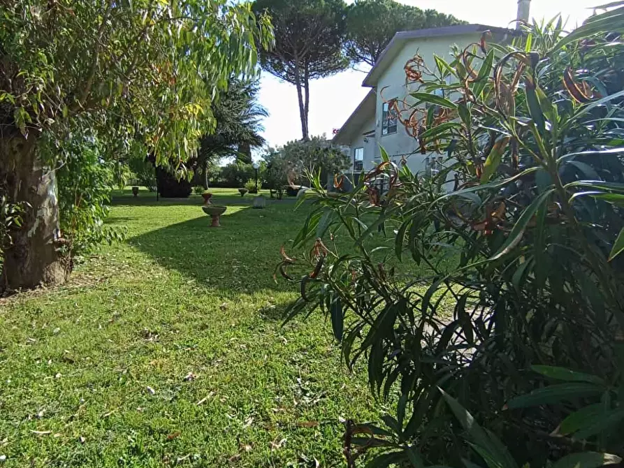 Immagine 74 di Villa in vendita  a Pisa