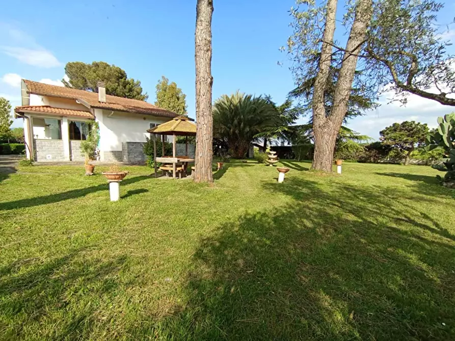 Immagine 68 di Villa in vendita  a Pisa