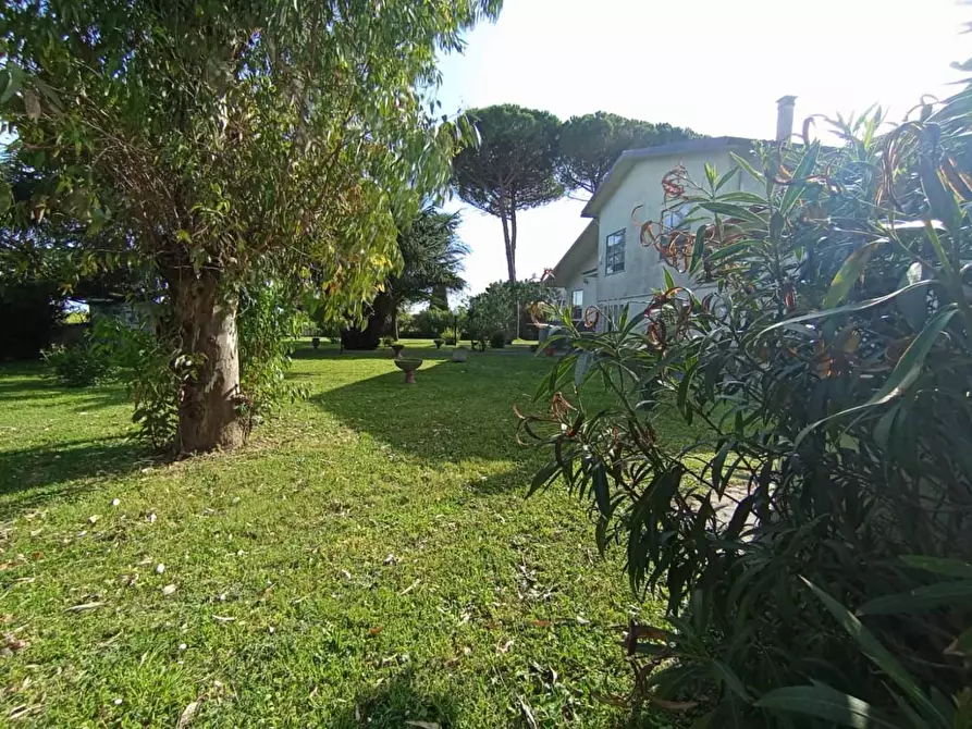 Immagine 75 di Villa in vendita  a Pisa
