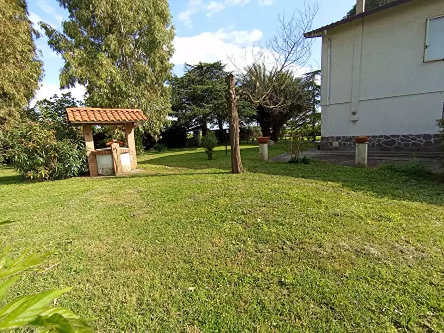 Immagine 5 di Villa in vendita  a Pisa