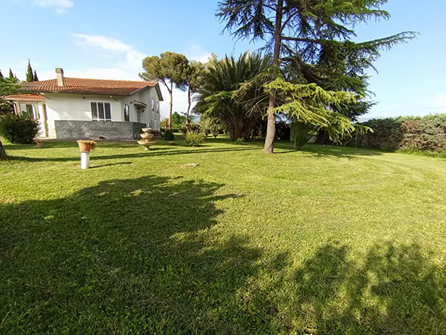 Immagine 16 di Villa in vendita  a Pisa