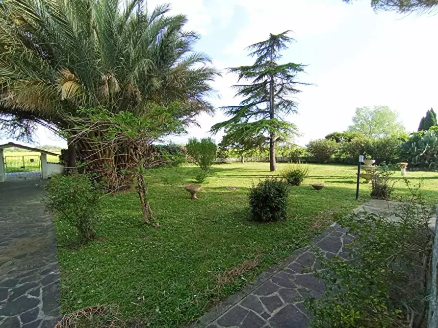 Immagine 12 di Villa in vendita  a Pisa