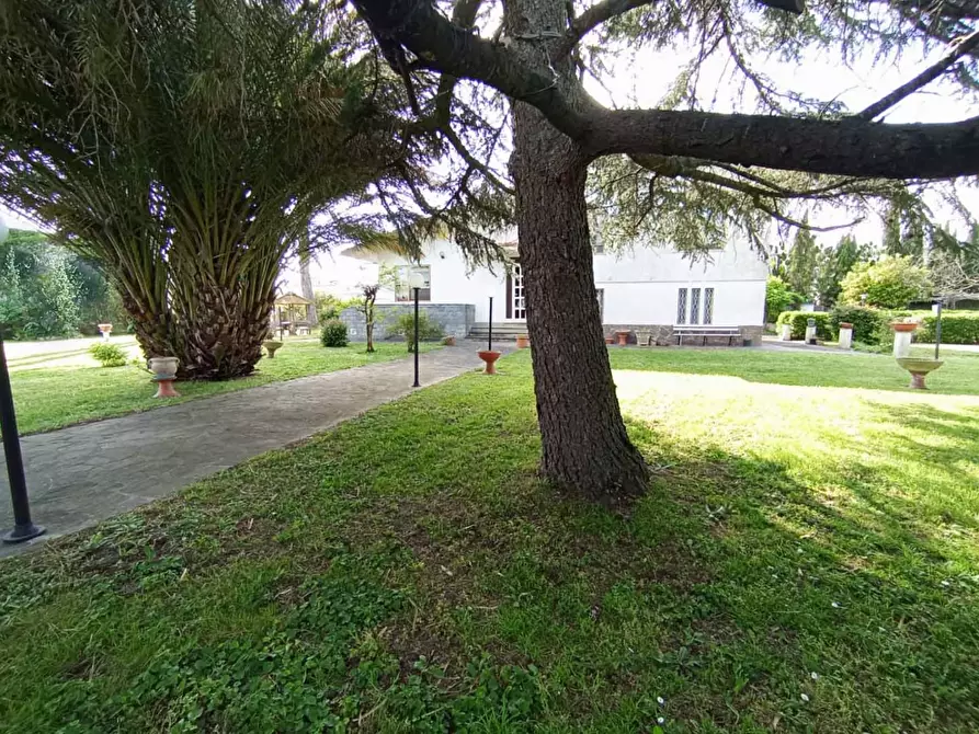 Immagine 4 di Villa in vendita  a Pisa