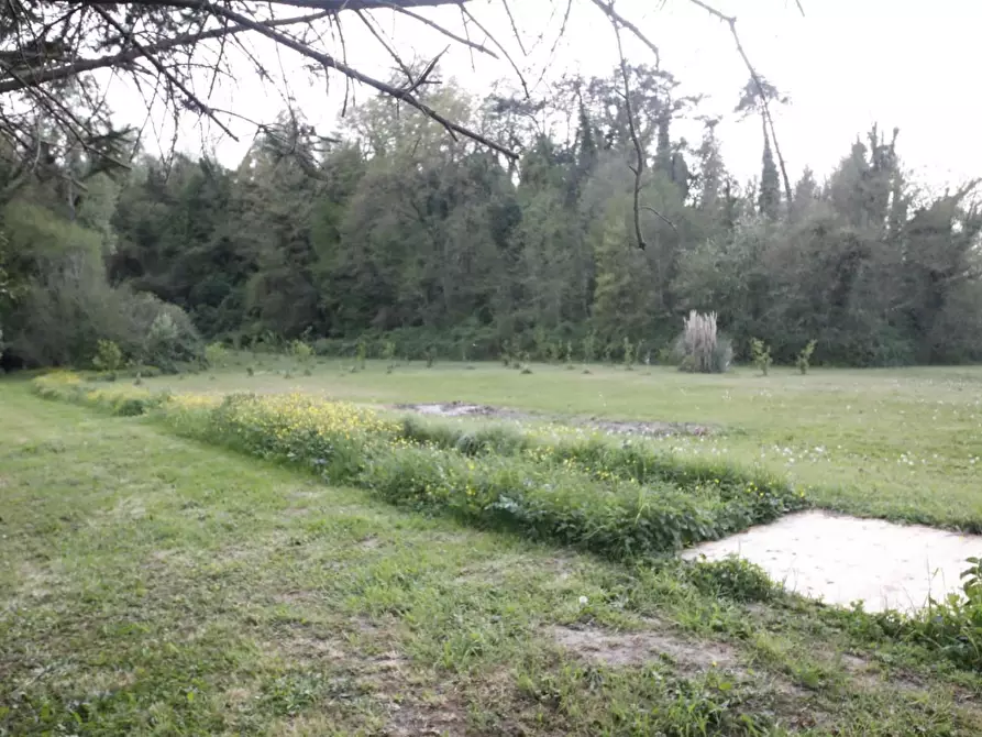 Immagine 36 di Casa indipendente in vendita  a Crespina Lorenzana