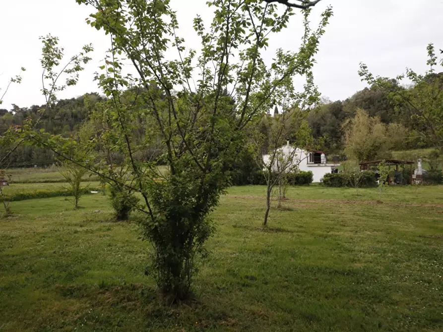 Immagine 5 di Casa indipendente in vendita  a Crespina Lorenzana