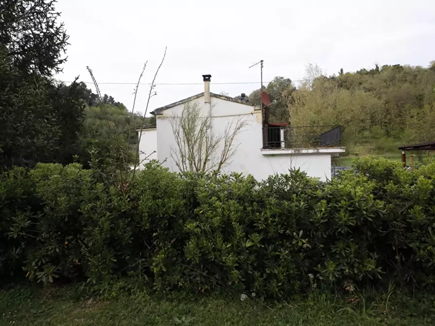 Immagine 7 di Casa indipendente in vendita  a Crespina Lorenzana