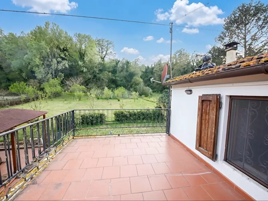 Immagine 4 di Casa indipendente in vendita  a Crespina Lorenzana